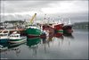 0434-Irland August-2018