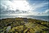 0093-Irland August-2018