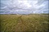 0447-Irland August-2018