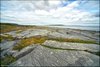 0218-Irland August-2018