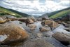 0769-Irland August-2018