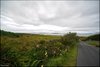 0279-Irland August-2018
