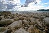 0572-Irland August-2018
