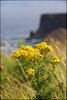 0111-Irland August-2018