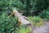 0640-Irland August-2018