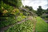 0401-Irland August-2018