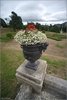 0857-Irland August-2018