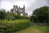 0612-Irland August-2018