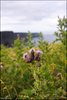 0100-Irland August-2018