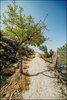 263 Kreta 2019