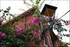 415 Kreta 2019