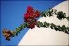 016 Kreta 2019