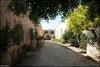 309 Kreta 2019