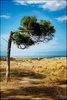 456 Kreta 2019