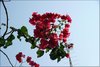 585 Kreta 2019