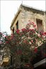 416 Kreta 2019