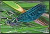 39_sample_1
