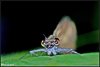 13_sample_9