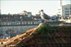 165 Porto