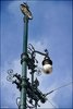 053 Prag