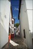 221 Ronda