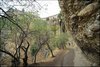 019 Ronda