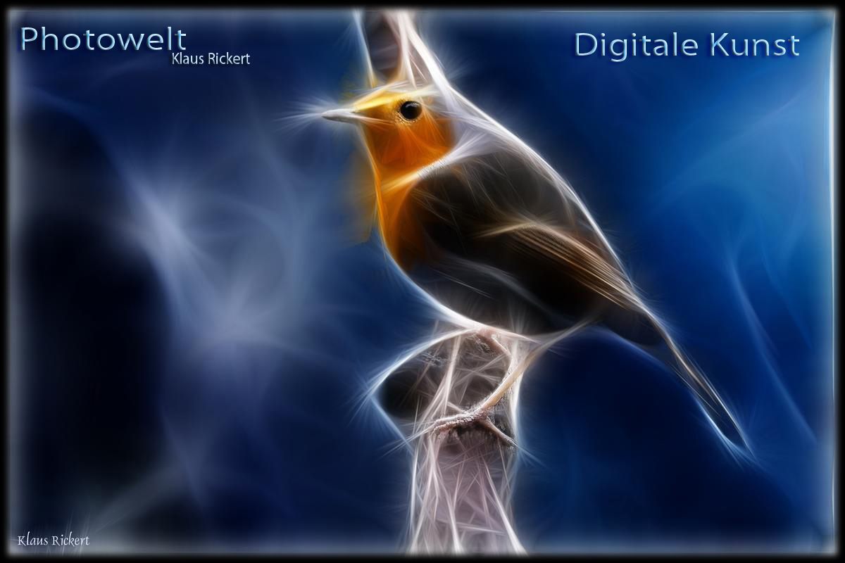 HG-Bild-DIGITAL ART